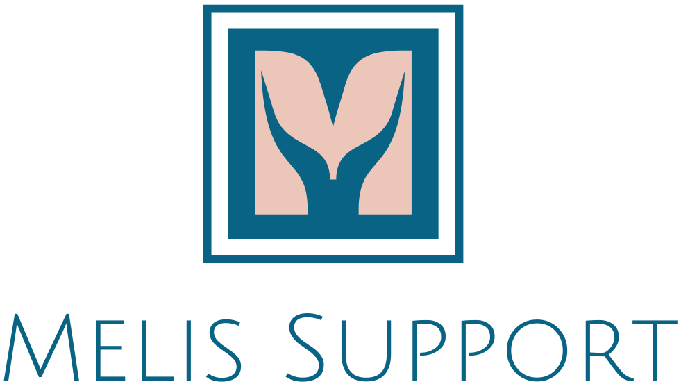 Melis Support - Virtual Assistant